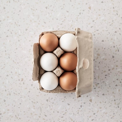 Ägg 6-pack